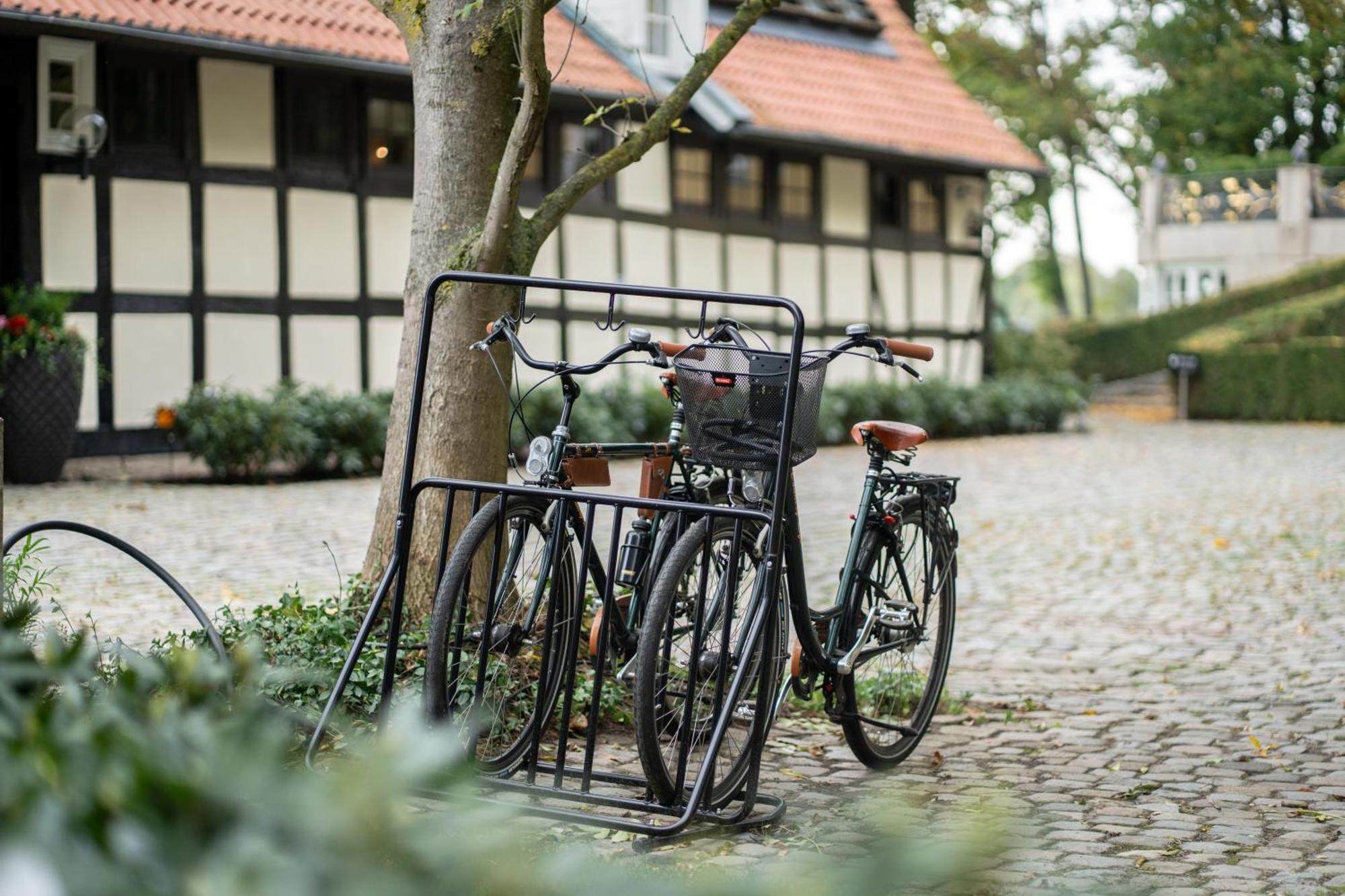 Schlossresidenz - Boutique Apartments & Hotel Suiten Schloss Ricklingen Eksteriør billede